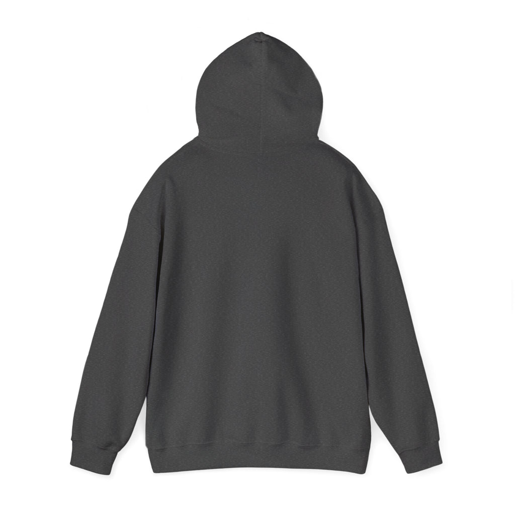 Matching Couple Sweatshirt - Sunrise & Sunset Matching Couple Hooded Sweatshirt Minimalist Art His Hers Valentine Gift - Design B