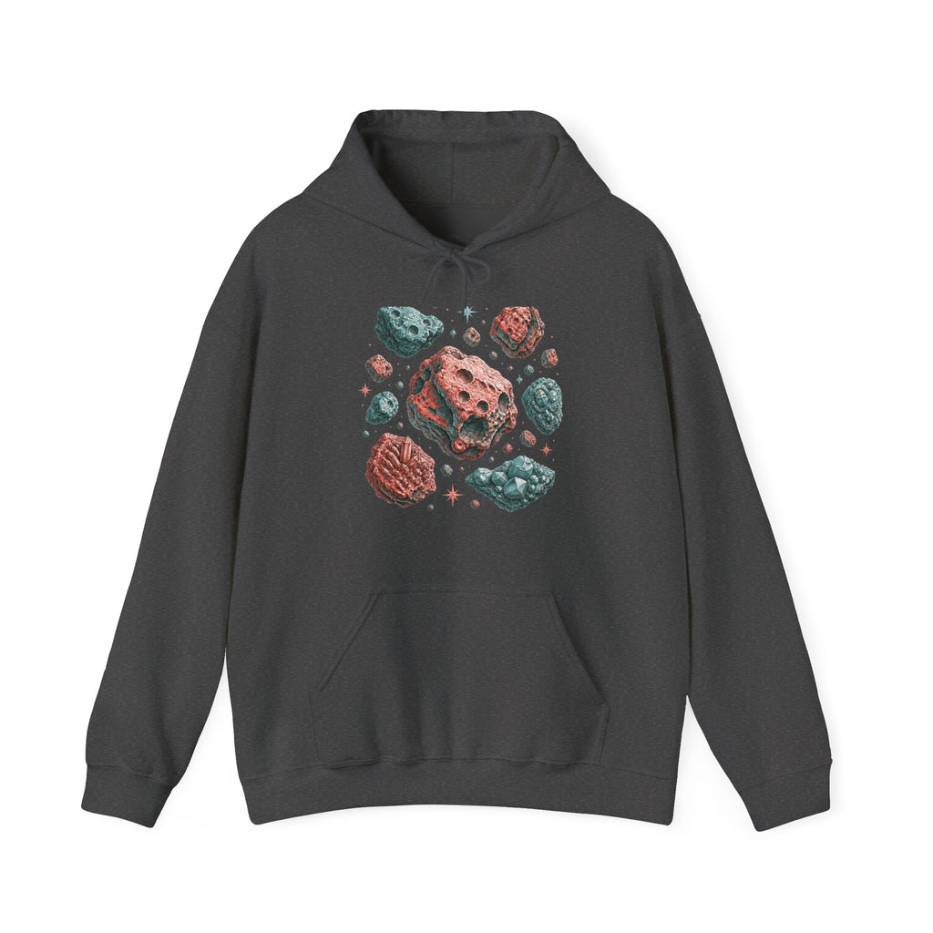 Matching Couple Sweatshirt - Comet & Asteroid Matching Couple Hooded Sweatshirt Vintage Art His Hers Wedding Gift - Design B