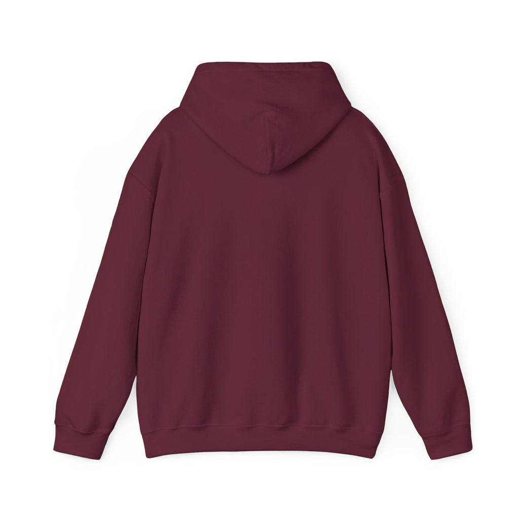 Matching Couple Sweatshirt - Eye of Ra & Horus Matching Couple Hooded Sweatshirt Hand-Drawn Art His Hers Best Friend Gift - Design B