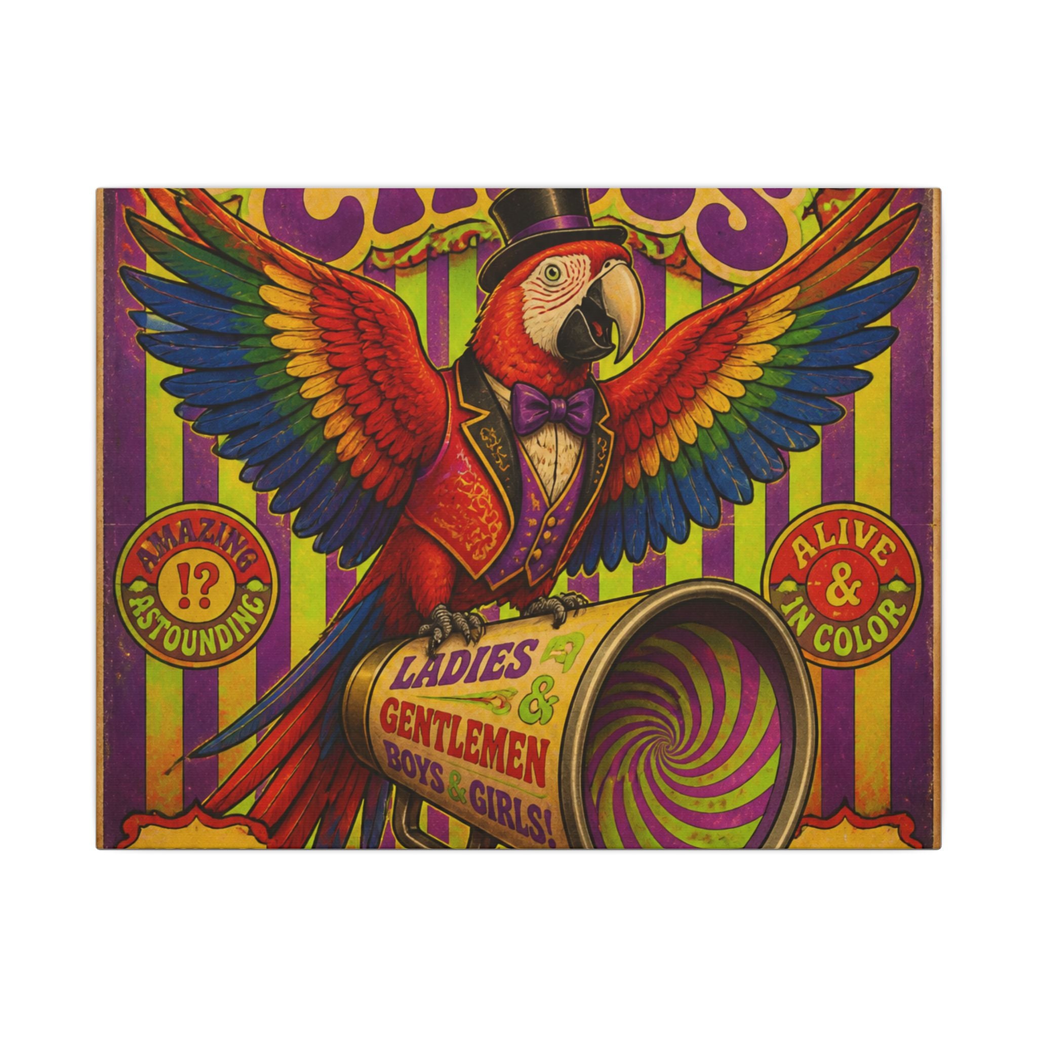Parrot Ringmaster Wall Art Canvas 16×20 Psychedelic Cafe Decor Maximalist Print