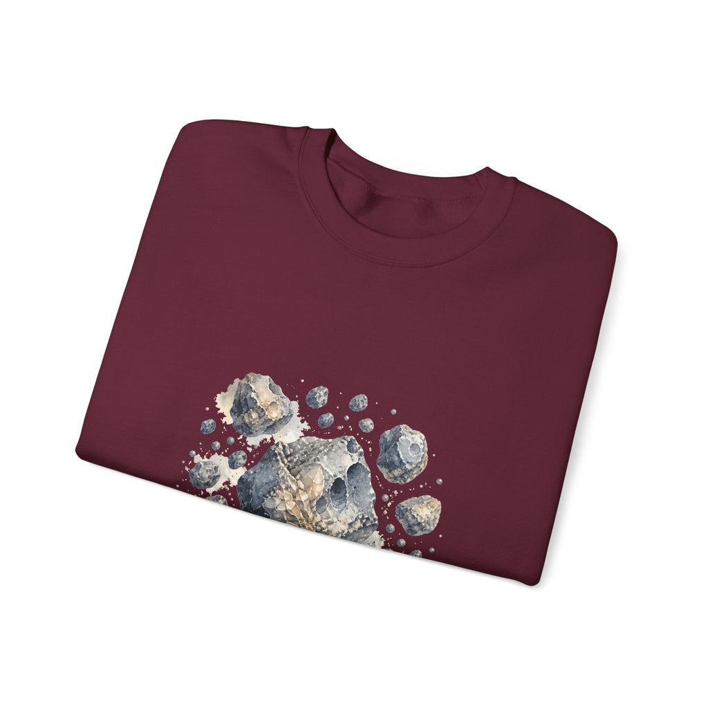 Matching Couple Sweatshirt - Comet & Asteroid Matching Couple Comfort Colors Crew Watercolor Art His Hers Birthday Gift - Design B
